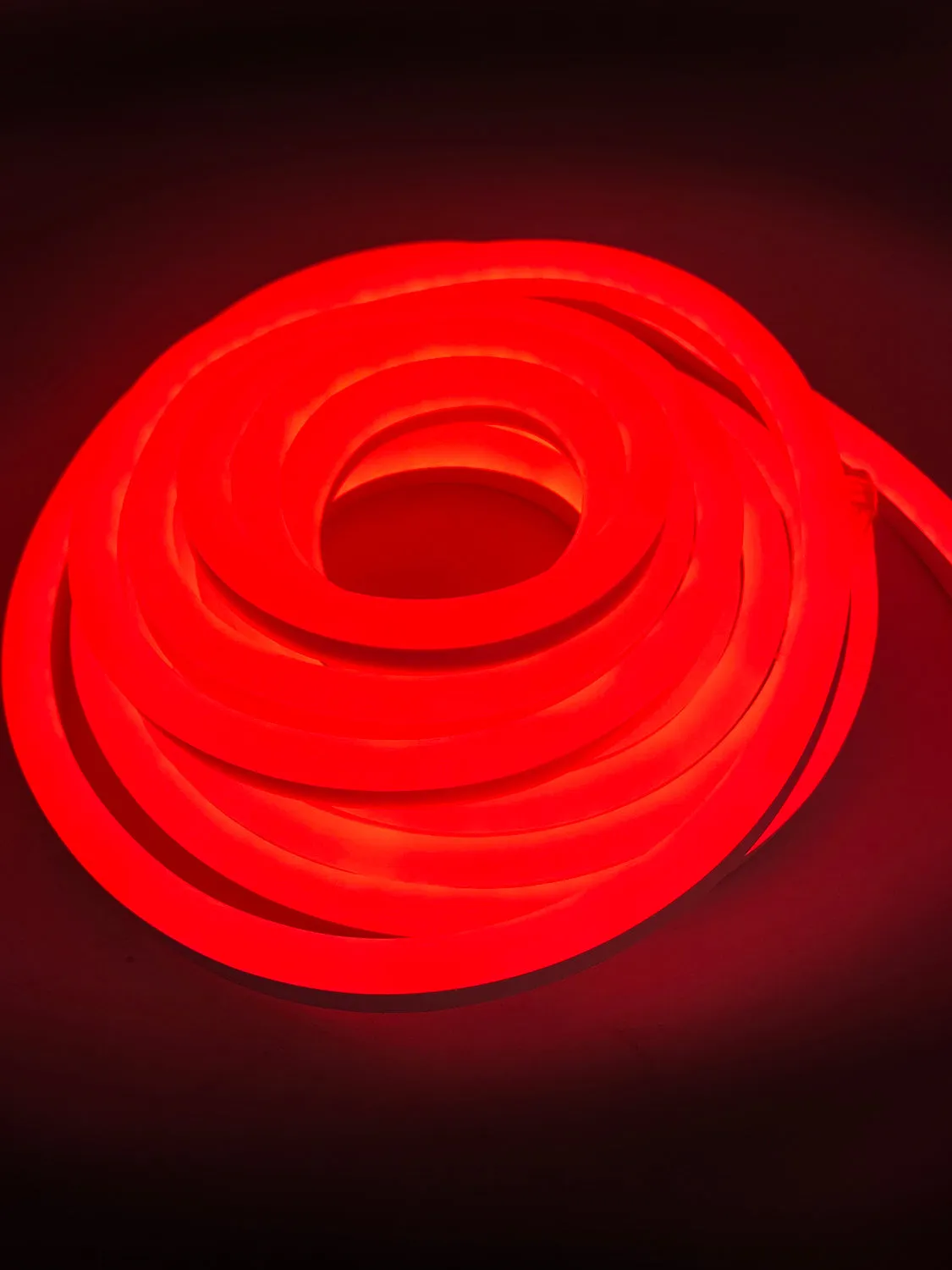 16' Neon Rope Light Indoor/Outdoor