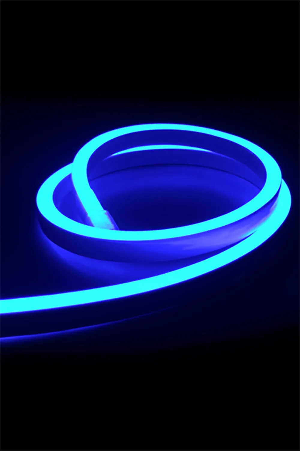 16' Neon Rope Light Indoor/Outdoor