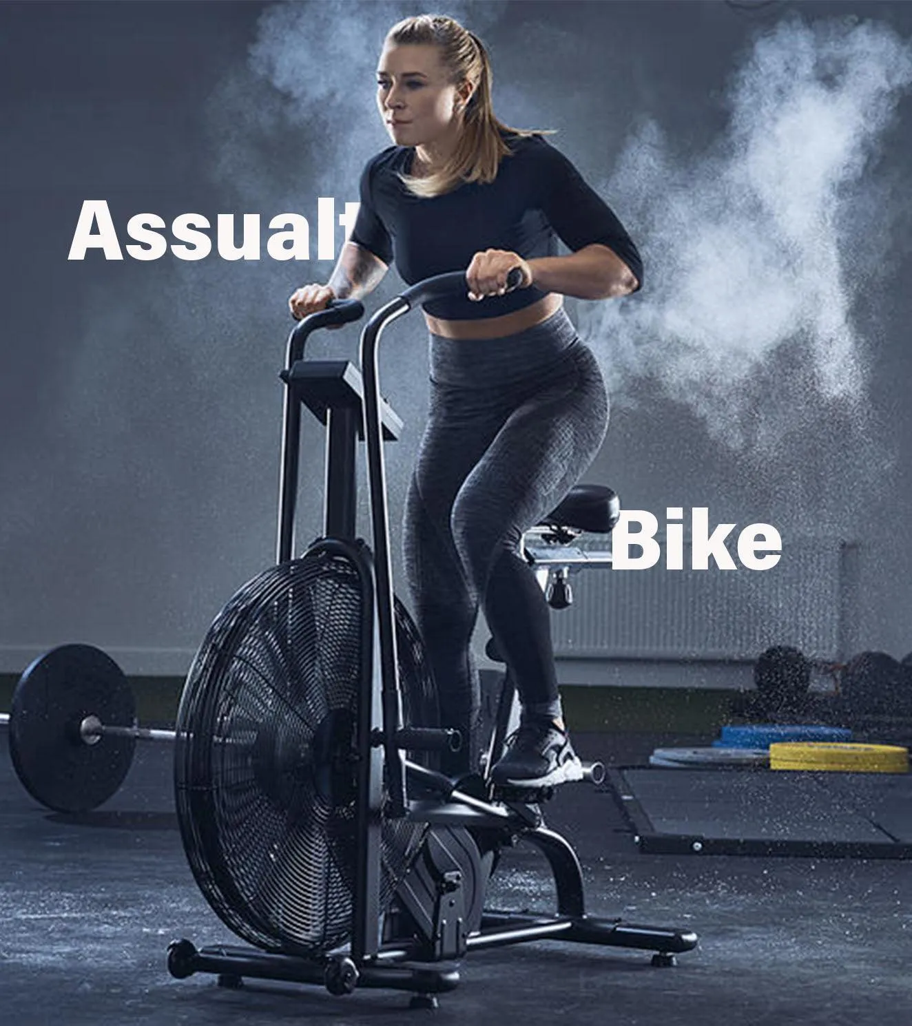 Assault Air Bike Classic