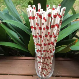 CLEARANCE SALE - Watermelon Paper Straws - Pack of 25